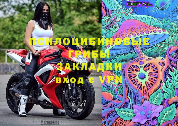 мескалин Новодвинск