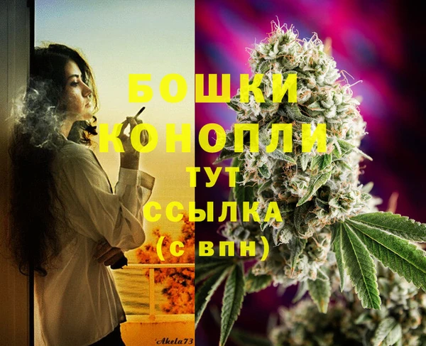 метадон Новозыбков