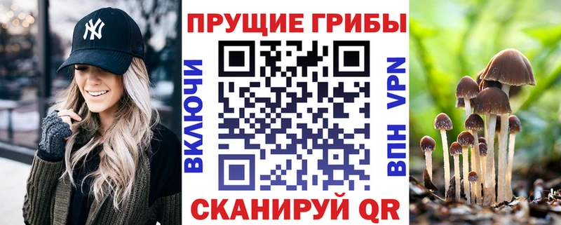 kraken ссылки  Подпорожье  даркнет какой сайт  где продают   Галлюциногенные грибы GOLDEN TEACHER 